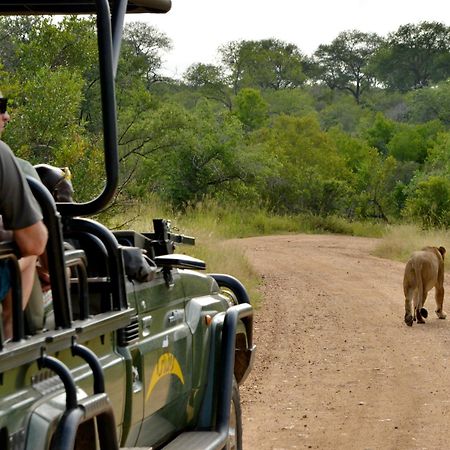 Kruger Safari Lodge 마니엘레티 게임 리저브 외부 사진