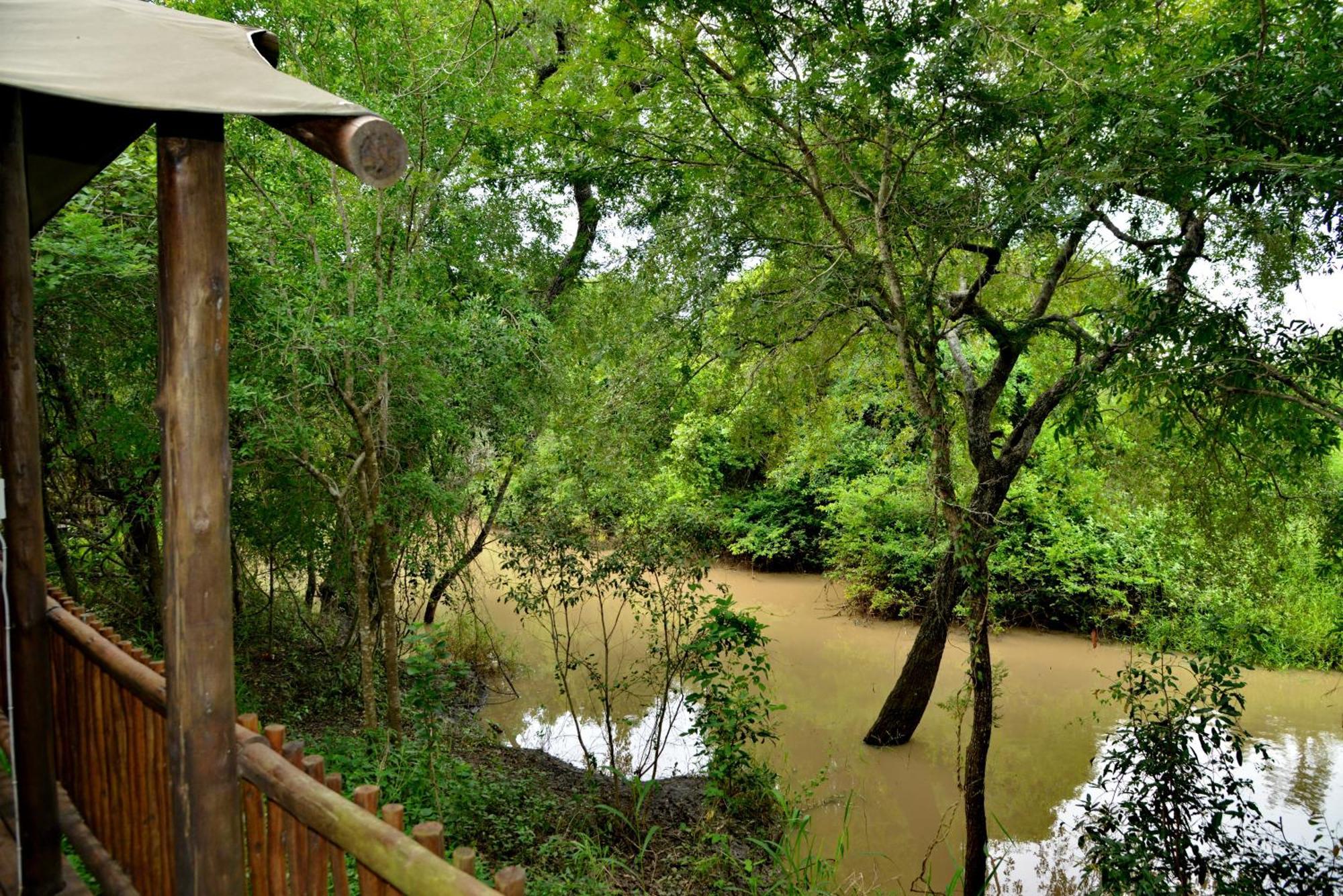 Kruger Safari Lodge 마니엘레티 게임 리저브 외부 사진