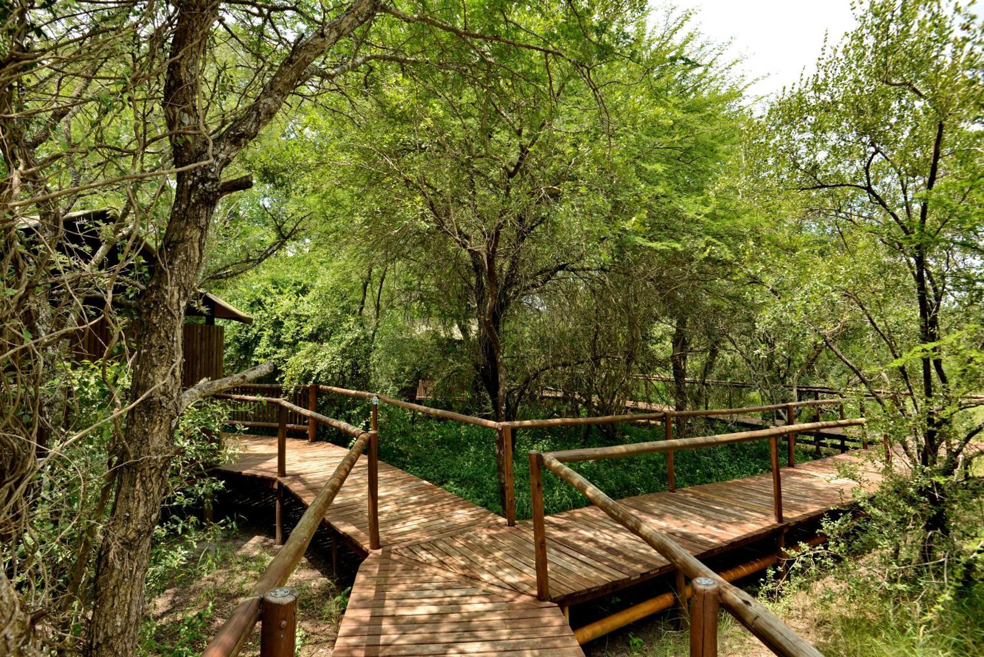 Kruger Safari Lodge 마니엘레티 게임 리저브 외부 사진